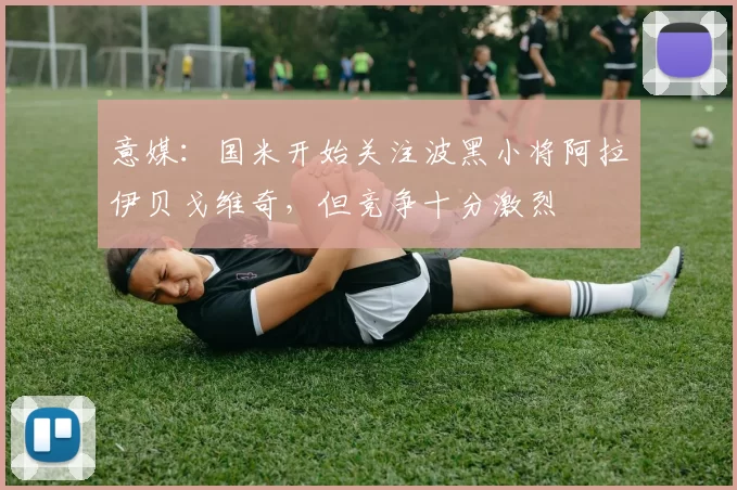 意媒：国米开始关注波黑小将阿拉伊贝戈维奇，但竞争十分激烈