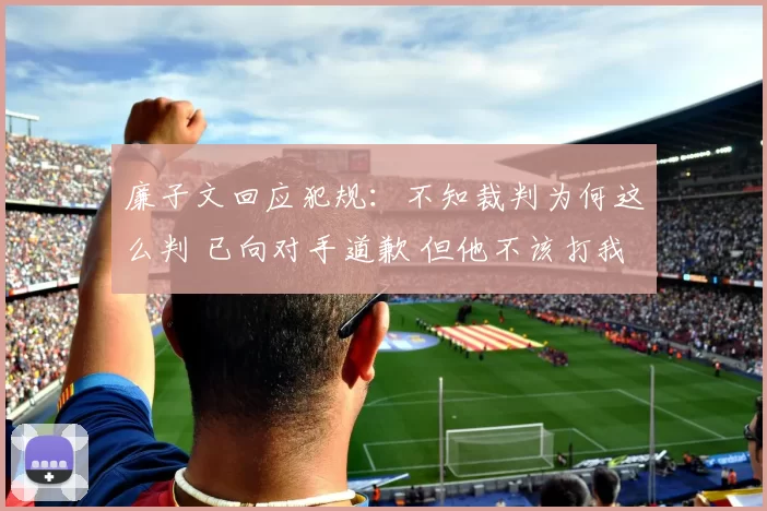 廉子文回应犯规：不知裁判为何这么判 已向对手道歉 但他不该打我