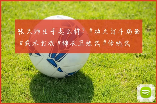 张天师出手怎么样？#功夫打斗场面 #武术打戏 #锦衣卫练武 #传统武打剧 #武行演员