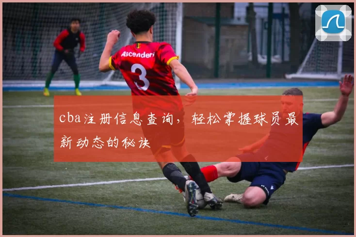 cba注册信息查询，轻松掌握球员最新动态的秘诀