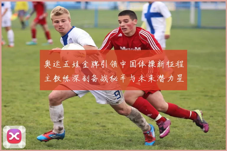 奥运五娃金牌引领中国体操新征程主教练深剖备战秘辛与未来潜力星